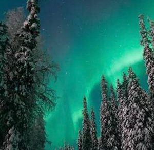 Northern Lights Hunting with Bus