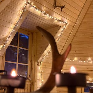 Snowmobile & Ice Fishing Experience+Kota Salmon