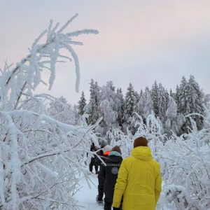 Snowshoeing Experience the Lapland