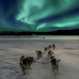 Northern Lights Hunting with Husky Sleigh