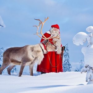 Rovaniemi all-in-one: Snowmobile, Duo-animal Sleigh & Meet Santa with Lunch