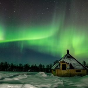 Enjoy Grilled Salmon in Kota under the Aurora